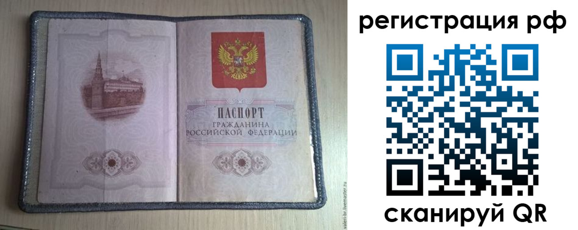 прописка поиск в Котласе